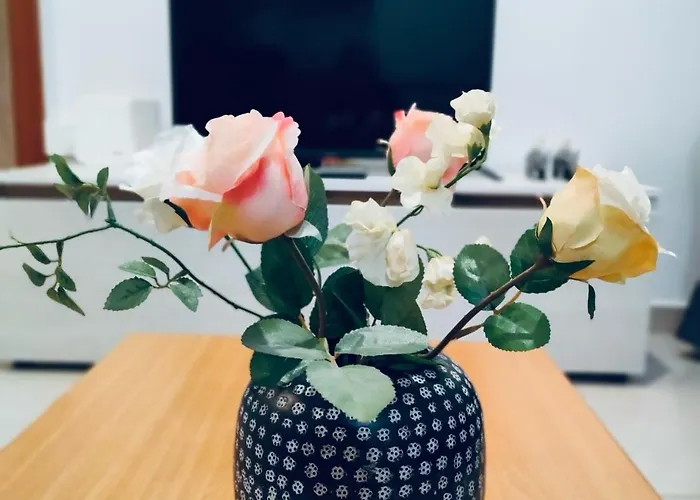 Apartman Paradise Mirka